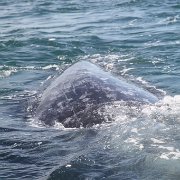IMG 0001 2 (24)